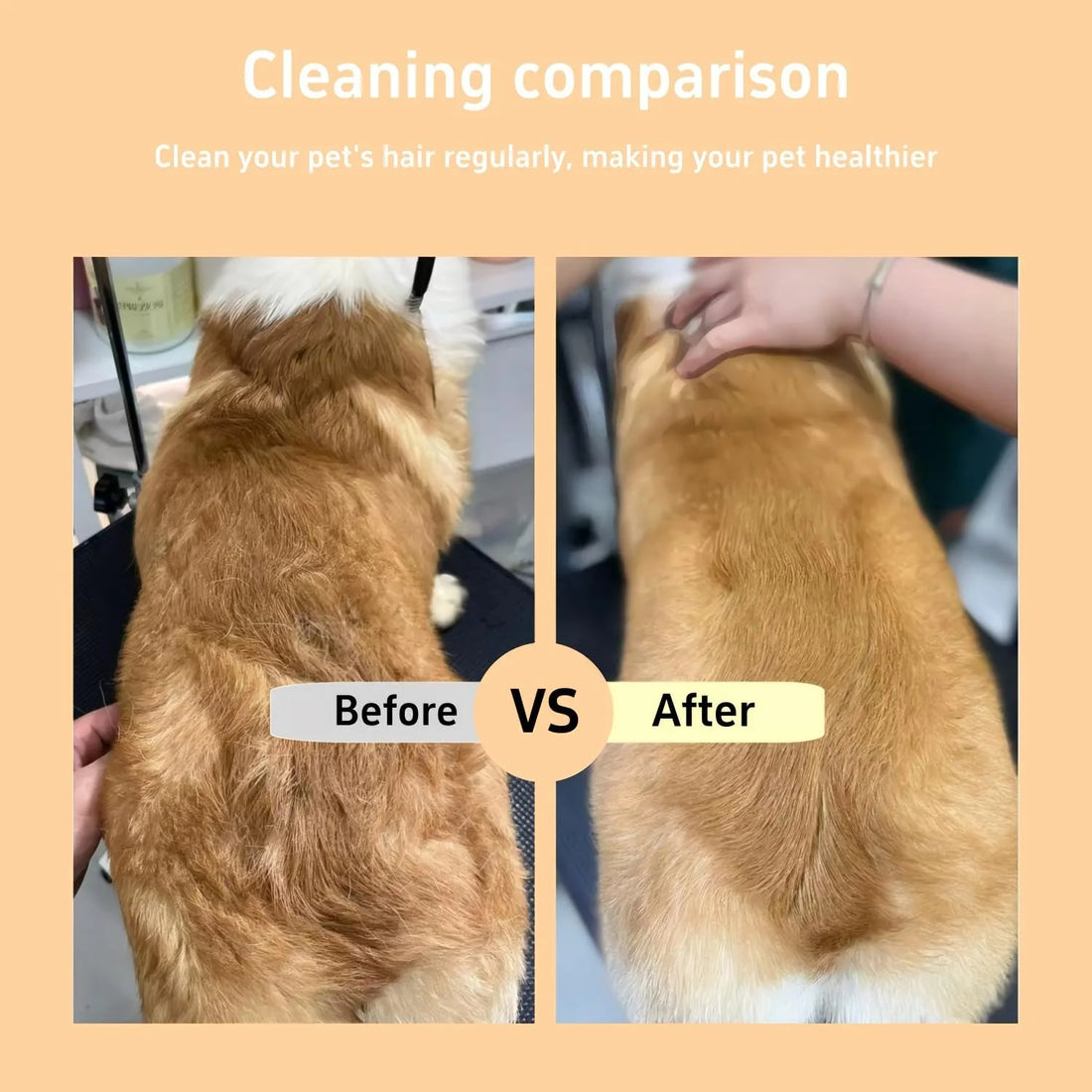 Pet Hair &amp; Flea Comb